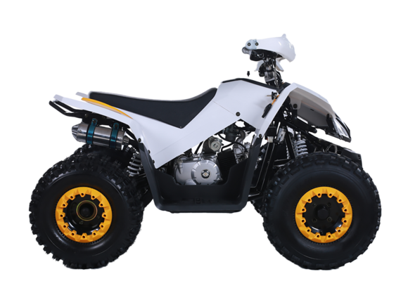 Квадроцикл TAO MOTOR COYOTE 125 pitbikemarket.ru
