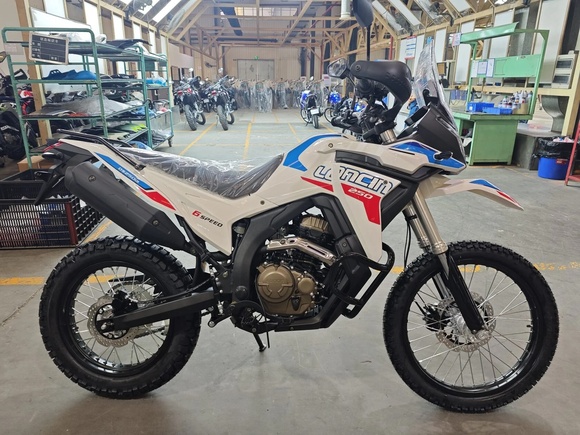 Мотоцикл Loncin DS250 Rally (белый) pitbikemarket.ru